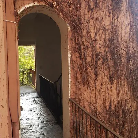 Appartamento Charming Croix Rousse With A View Lione